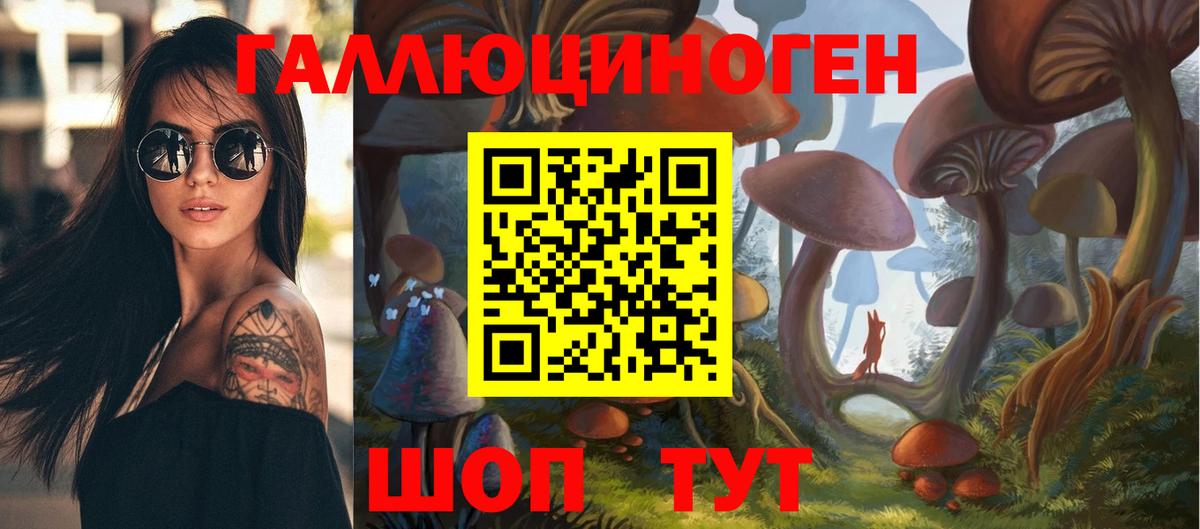 дарнет шоп  Вход с VPN  Осинники  Галлюциногенные грибы Magic Shrooms 